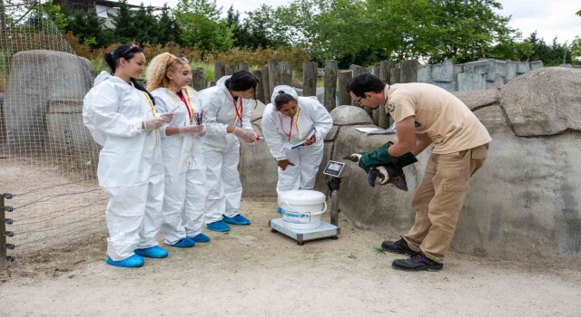 Erasmuslu öğrenciler Bursa Hayvanat Bahçesinde