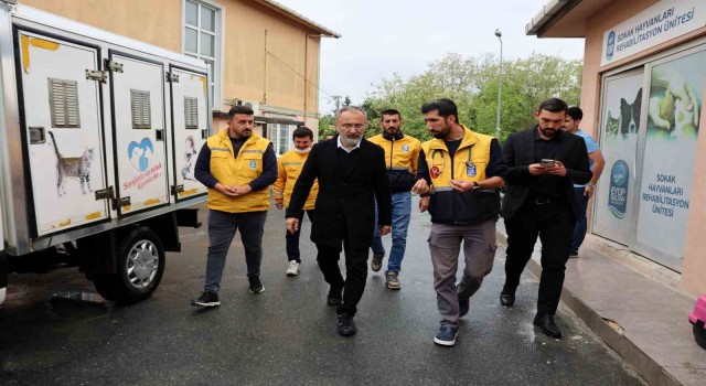 Eyüpsultanda sokak hayvanlarına yönelik çalışmalar sürdürülüyor