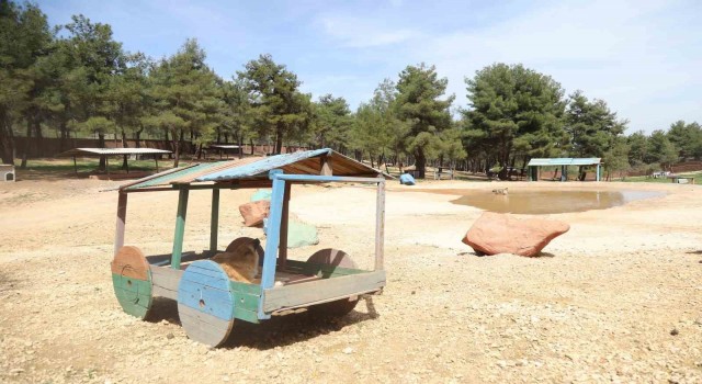 Gaziantep Büyükşehir, sokak hayvanlarına sahip çıkıyor