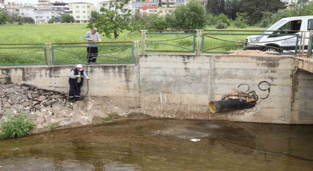 Gaziantepte haşerelere karşı 165 bin noktada ilaçlama yapılıyor