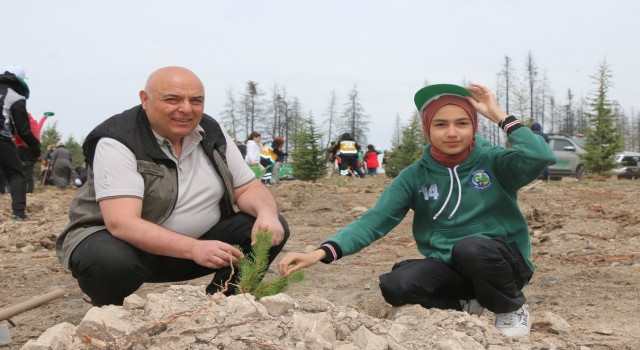 Geredede yanan ormanlık alan küllerinden yeniden doğuyor