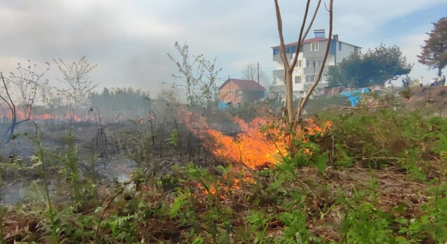 Giresunda örtü yangını korkuttu