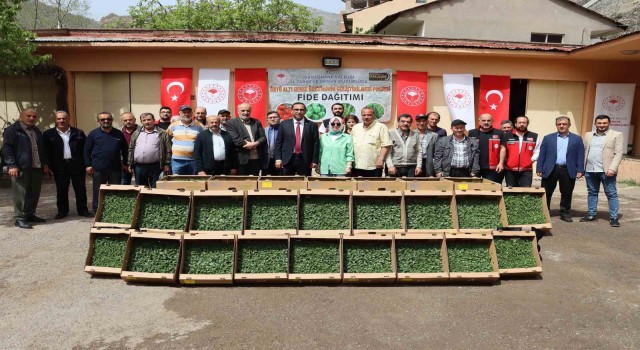 Gümüşhanede 322 bin 398 sebze fidesi toprakla buluşacak