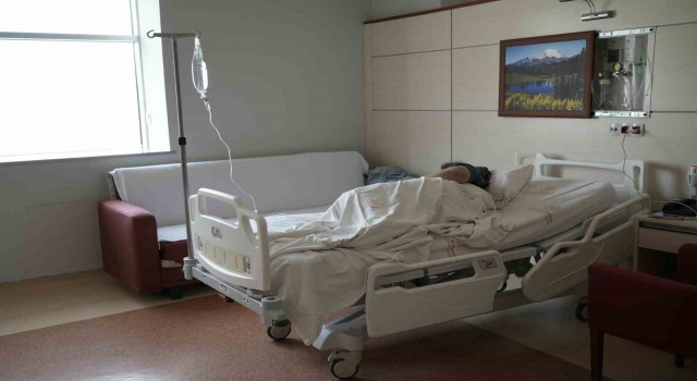Gümüşhanede son 10 günde kene vakalarında artış yaşanıyor