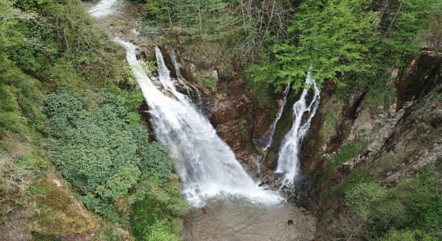 Gümüşhanenin saklı cenneti Çağlayandibi Şelalesi baharla coştu