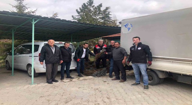 Günyüzünde üzüm projesi hayata geçti