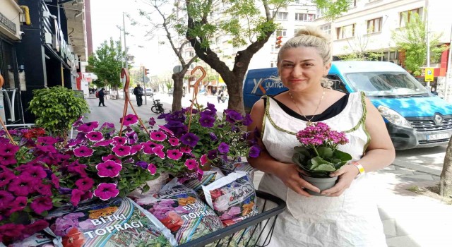 Havaların ısınmasıyla birlikte yazlık çiçek satışları başladı