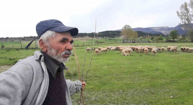 Havaların ısınmasıyla küçükbaş hayvanlar meralara çıkmaya başladı