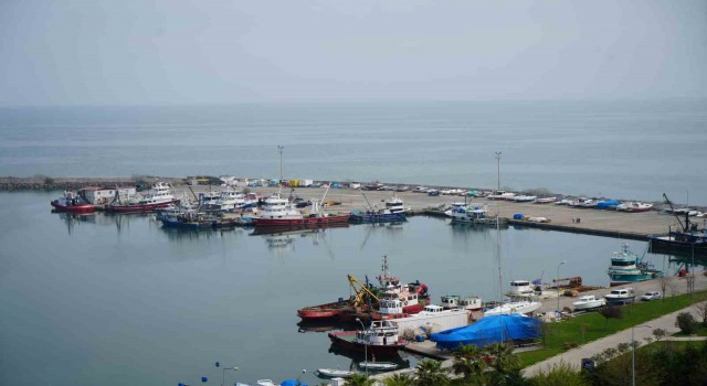 Hayvansal ürün ihracatından milyonlarca döviz Türkiye ekonomisine girdi