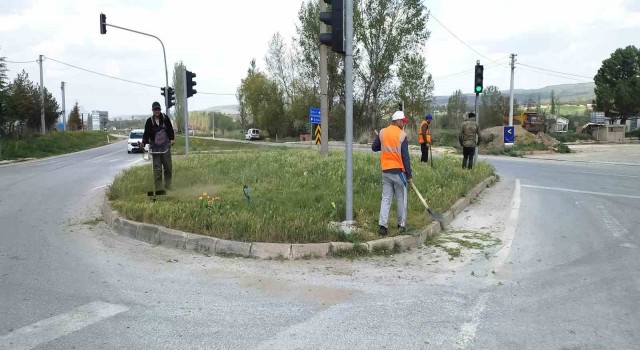 Hisarcıkta yabani ot biçme çalışması