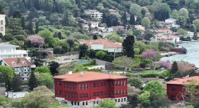 İstanbulu erguvan ağaçları süsledi