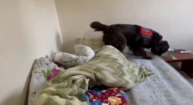 Jandarmadan uyuşturucu operasyonu