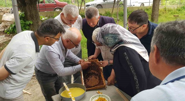 Karabükte üreticiler ana arı yetiştirmenin püf noktalarını öğrendi