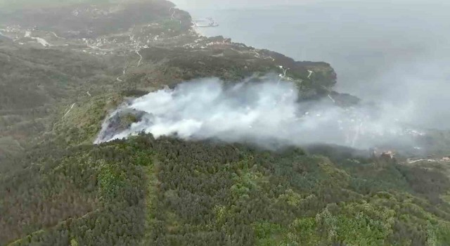 Kastamonuda orman yangını: Ekiplerin müdahalesi sürüyor