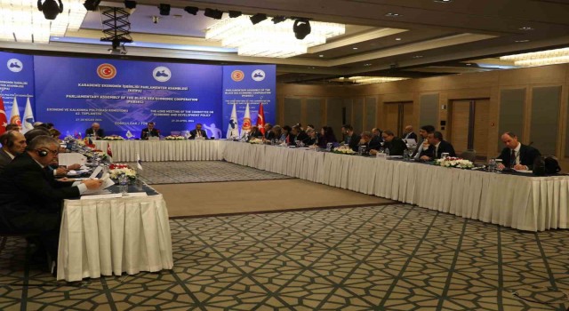 KEİPA Türkiye Delegasyonu Başkanı Dönmez: Gazzede kalıcı ateşkese varılması için İsrail ve destekçileri üzerinde baskı oluşturmak zorundayız”