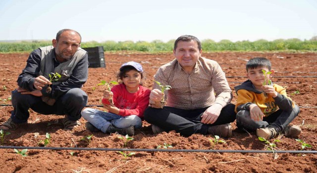 Kiliste biber fideleri çocukların elleriyle toprakla buluştu