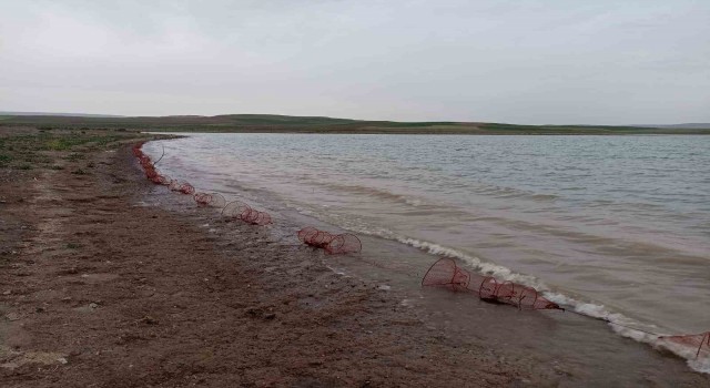 Koçhisar Barajına atılan 400 adet kerevit sepetine el konuldu