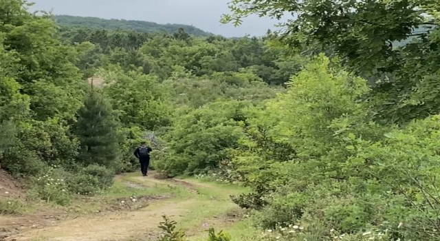 Korhan Berzege ait yeni bulgular dere yatağında aranıyor