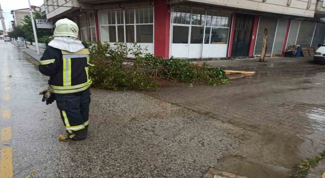 Manisa Büyükşehir ekiplerinden fırtına ve yağış mesaisi