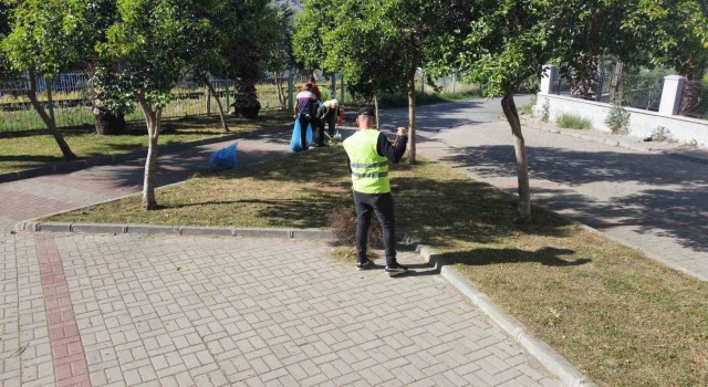 Nazillide yabani otlar temizleniyor