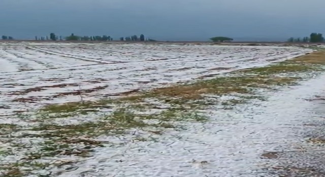 Niğdede dolu yağışı etkili oldu