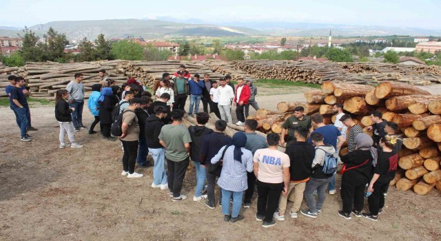 Öğrencilere Vezirköprü ormanlarında eğitim