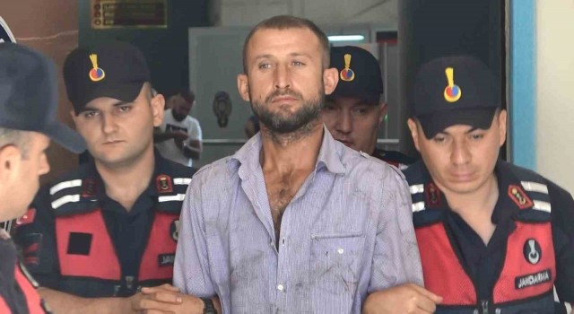 Ormanı yakıp mahkemede Orman sevdalısıyım diyen sanığa 8 yıl hapis