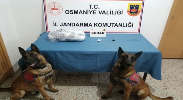 Osmaniye Jandarmasından Uyuşturucu Operasyonu