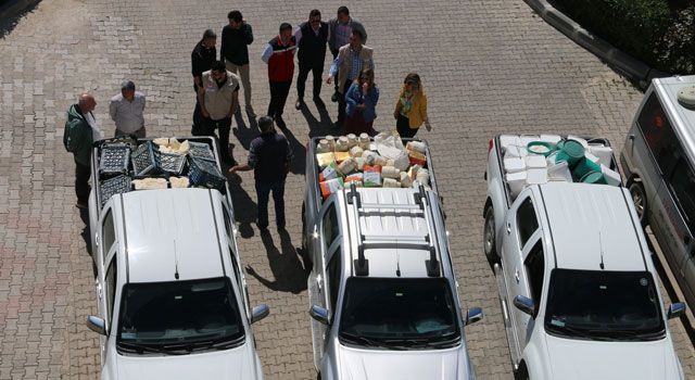 Osmaniye'de Bozuk Peynir Depoları Basıldı!