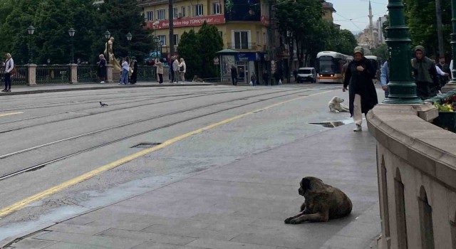 Sabah etkili olan yağmur kent merkezinin boş kalmasına sebep oldu