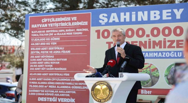 Şahinbeyde 10 milyon fide dağıtımı başladı