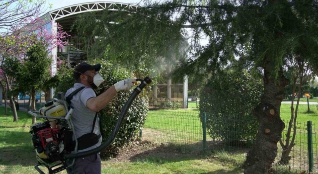 Samsunda 25 bin noktada vektörle mücadele