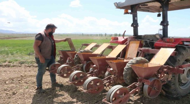 Sandıklıda bu yıl şeker pancarında 170 bin ton rekolte bekleniyor