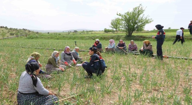Sarımsak tarlasında kadınlara KADESi anlattılar