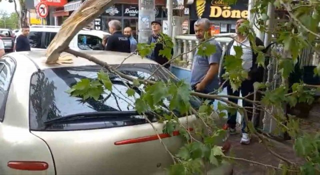 Şiddetli rüzgara dayanamayan ağaç otomobilin üzerine düştü