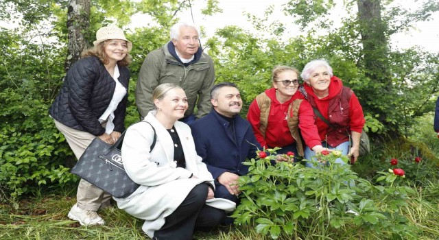 Şilede doğa meraklıları 10. Şakayık Şenliğinde buluştu