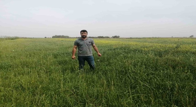Sökede yem bitkileri desteği kapsamında tarla kontrolleri gerçekleştirildi