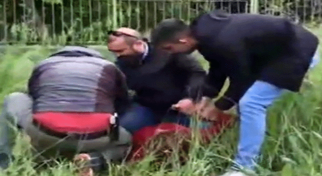 Suçüstü Yakalanan Hırsız, Polisin Elini Isırdı