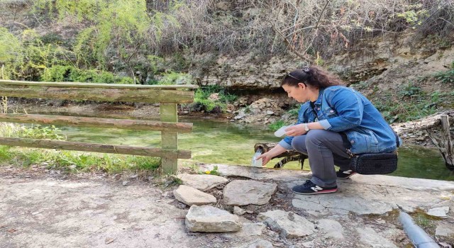 Sulak alanlarda tarımsal kaynaklı kirliliğin izlenmesi çalışması yapıldı