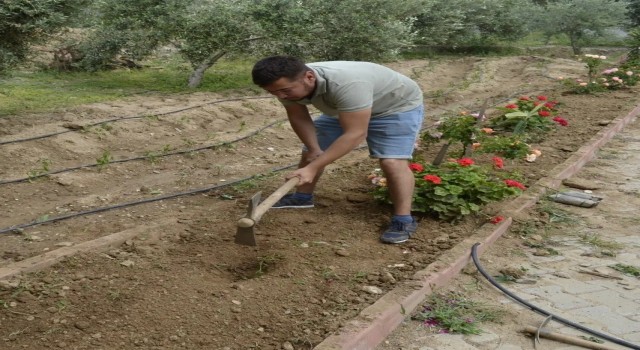 Sultanhisarda fidanlar toprakla buluştu