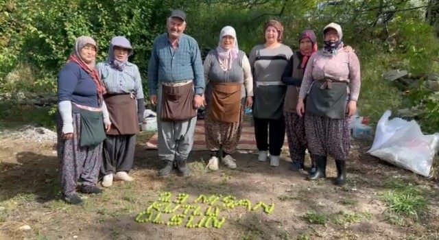 Tarım işçileri 23 Nisanı erik hasadı yaparken kutladılar