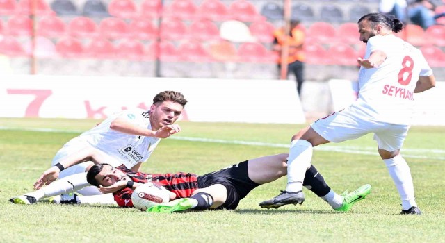 TFF 3. Lig 2. Grup şampiyonu Batman Petrolspor