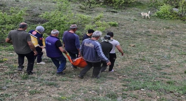 Tuncelide ayının saldırısına uğrayan adam yaralandı