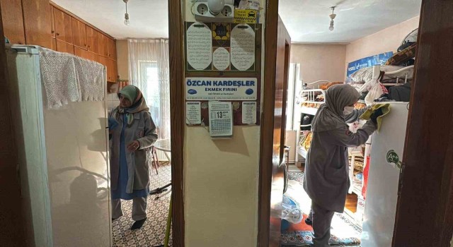 Ulu çınarların ev temizliği belediyeden