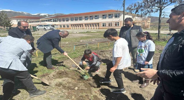 Vartoda öğrenciler okul bahçesine fidan dikti