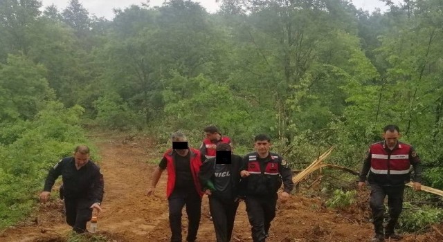 Yalovada 2 hektar ormanın yanmasına neden olan zanlı gözaltına alındı