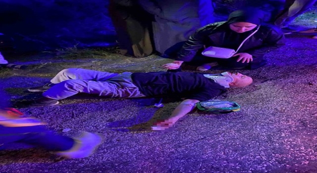 Yalovada trafik kazası: 4 yaralı