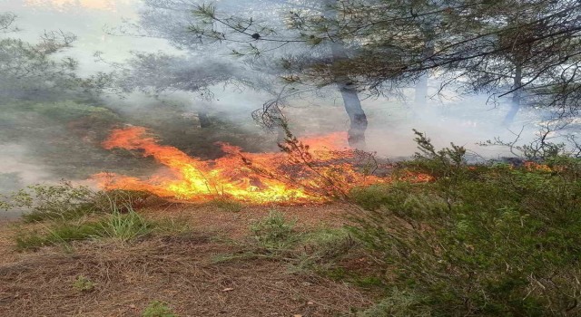 Yayladağında ormanlık alanda çıkan yangın söndürüldü