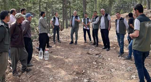 Yılmaz: "Saimbeyli'deki Ormancılık Faaliyetleri Oldukça Başarılı"