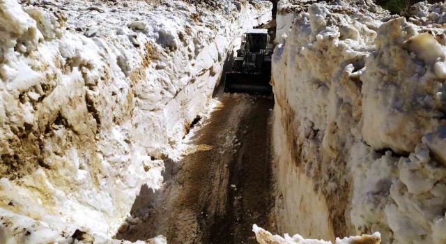 Yüksekovada 5 metreyi bulan karda yol açma çalışması